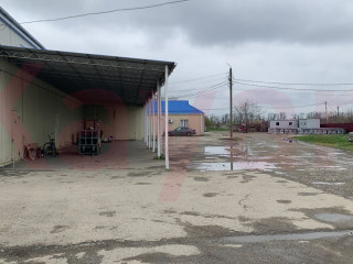 Фотография Продажа производственного помещения, 4000 м² , Краснодарская улица №11