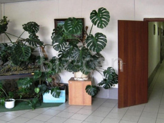 Фотография Аренда офиса, 74 м² , улица Золоторожский Вал 11с9  №5