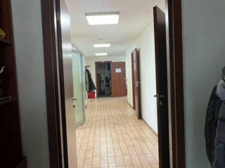 Фотография Аренда помещения свободного назначения, 255 м² , Берёзовая аллея 14Бс4  №4