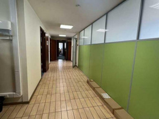 Фотография Аренда помещения свободного назначения, 255 м² , Берёзовая аллея 14Бс4  №5