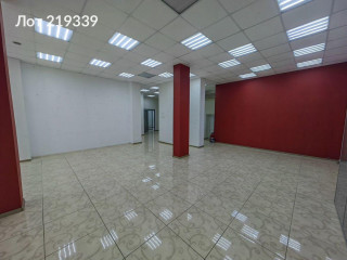 Фотография Аренда помещения свободного назначения, 222 м² , Октябрьский проспект 18к2  №13