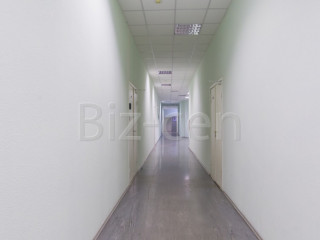 Фотография Аренда офиса, 43 м² , улица Радищева 39Д  №3