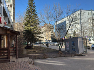 Фотография Аренда помещения свободного назначения, 388 м² , улица Бочкова 3  №10