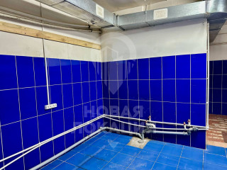 Фотография Аренда производственного помещения, 76 м² , 3-я Молодёжная улица 81А  №11