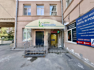 Фотография Аренда помещения свободного назначения, 250 м² , улица Маяковского 65  №1