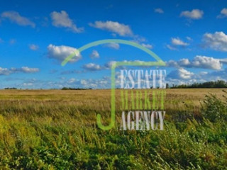 Продажа земельного участка 56000 м² улица Бор 1