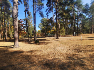 Фотография Продажа помещения свободного назначения, 2531 м² , Тамбовский переулок 13  №20