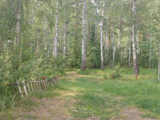 Фотография Продажа земельного участка, 125000 м² , Верх-Исетский район №2