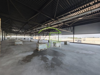 Фотография Аренда магазина, 983 м² , Пушкинское шоссе 41  №4