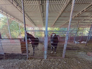 Фотография Продажа производственного помещения, 400 м² , Астраханская улица №9