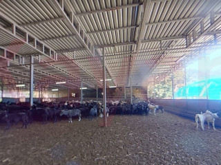 Фотография Продажа производственного помещения, 400 м² , Астраханская улица №8