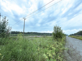 Фотография Продажа земли промышленного назначения, 19900 м² , Апельсиновая ул 1  №3