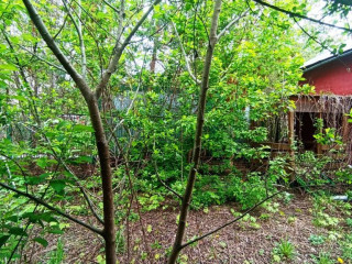 Фотография Продажа помещения свободного назначения, 73 м² , улица Нижняя Дебря 39  №7