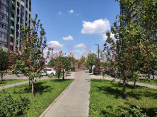 Фотография Продажа помещения свободного назначения, 52 м² , улица имени Валерия Гассия №2