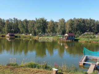 Фотография Продажа помещения свободного назначения, 35000 м² , Шоссейная улица 6  №3