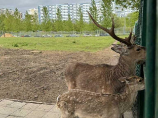 Фотография Аренда помещения свободного назначения, 178 м² , проспект Вернадского 94к3  №11