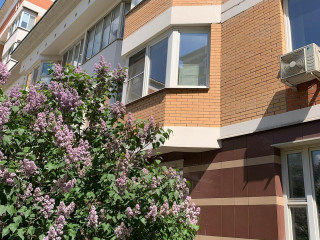Фотография Аренда помещения свободного назначения, 172 м² , Мичуринский проспект 16  №7