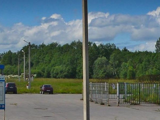 Фотография Продажа помещения свободного назначения, 12456 м² , Кирилловское шоссе 58  №2