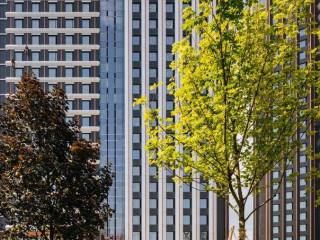 Фотография Продажа офиса, 607 м² , улица Вильгельма Пика 3  №17
