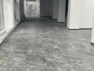 Фотография Аренда помещения свободного назначения, 633 м² , Челюскинская улица 9  №5