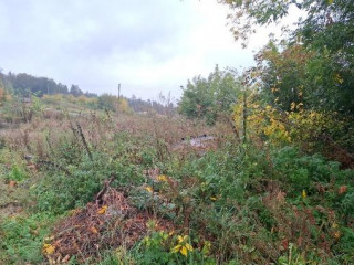 Фотография Продажа помещения свободного назначения, 1700 м² , микрорайон Совхоз Медведево 54/1  №22