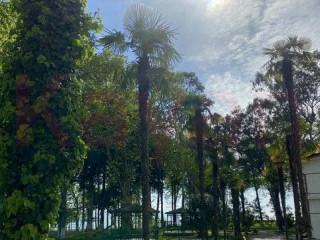 Фотография Продажа производственного помещения, 20000 м² , Сухумское шоссе №5 Фотография Продажа производственного помещения, 20000 м² , Сухумское шоссе №5