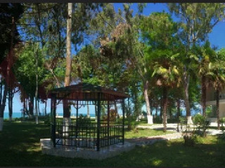 Фотография Продажа производственного помещения, 20000 м² , Сухумское шоссе №2 Фотография Продажа производственного помещения, 20000 м² , Сухумское шоссе №2