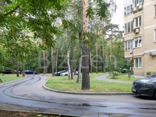 Фотография Аренда офиса, 133 м² , Челюскинская улица 9  №2