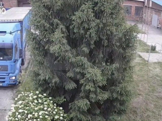 Фотография Аренда помещения свободного назначения, 600 м² , улица Карла Маркса 3  №2