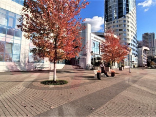 Фотография Аренда помещения свободного назначения, 73 м² , Набережная улица №2