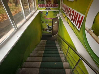 Фотография Аренда помещения свободного назначения, 251 м² , Мурановская улица 6  №5