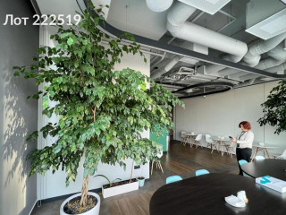 Фотография Аренда офиса, 1259 м² , 1-й Красногвардейский проезд 22  №4