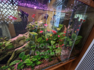 Фотография Аренда помещения свободного назначения, 130 м² , улица Фрунзе 40  №29 Фотография Аренда помещения свободного назначения, 130 м² , улица Фрунзе 40  №29