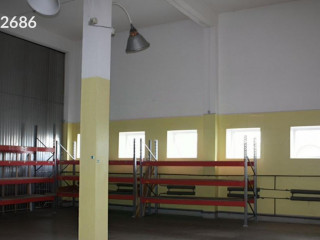 Фотография Аренда помещения свободного назначения, 770 м² , Сентябрьская улица 12 №3 Фотография Аренда помещения свободного назначения, 770 м² , Сентябрьская улица 12 №3