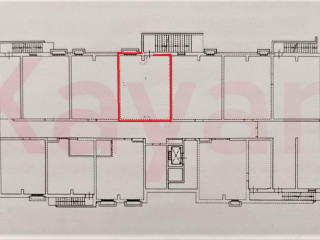 Фотография Аренда помещения свободного назначения, 46 м² , Душистая улица №8