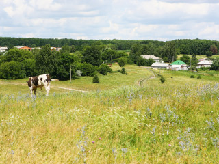 Фотография Продажа земельного участка, 488400 м² , Липецкая улица №7 Фотография Продажа земельного участка, 488400 м² , Липецкая улица №7