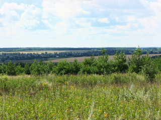 Фотография Продажа земельного участка, 488400 м² , Липецкая улица №3 Фотография Продажа земельного участка, 488400 м² , Липецкая улица №3