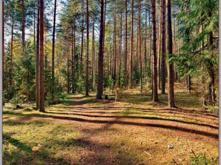 Фотография Продажа земельного участка, 488400 м² , Липецкая улица №5 Фотография Продажа земельного участка, 488400 м² , Липецкая улица №5