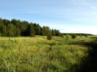 Фотография Продажа земельного участка, 488400 м² , Липецкая улица №8 Фотография Продажа земельного участка, 488400 м² , Липецкая улица №8