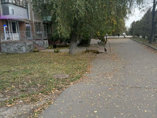 Фотография Аренда офиса, 46 м² , улица Жуковского 27  №4