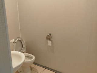 Отдельный (свой) санузел+умывальник Отдельный (свой) санузел+умывальник