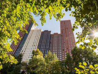 Фотография Продажа помещения свободного назначения, 95 м² , Строительный проезд 9 №23 Фотография Продажа помещения свободного назначения, 95 м² , Строительный проезд 9 №23