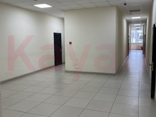 Фотография Продажа офиса, 827 м² , Рашпилевская улица №11 Фотография Продажа офиса, 827 м² , Рашпилевская улица №11