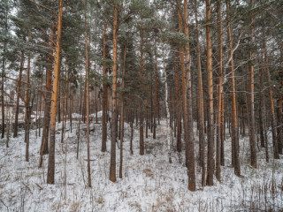 Фотография Продажа склада, 729 м² , Шиловская ул 30  №22