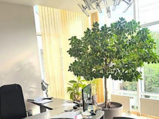 Фотография Аренда офиса, 576 м² , Брянская улица 5 №3 Фотография Аренда офиса, 576 м² , Брянская улица 5 №3