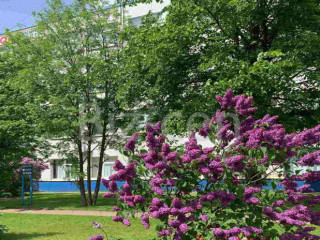 Фотография Аренда офиса, 17 м² , проспект Культуры 44  №11