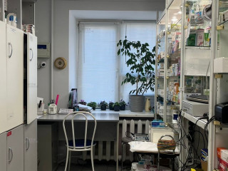 Фотография Аренда помещения свободного назначения, 45 м² , Тульская улица 103 №6 Фотография Аренда помещения свободного назначения, 45 м² , Тульская улица 103 №6