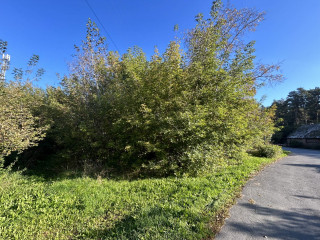 Фотография Продажа помещения свободного назначения, 536 м² , микрорайон Совхоз Медведево 48/3  №8