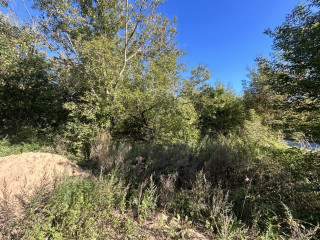 Фотография Продажа помещения свободного назначения, 536 м² , микрорайон Совхоз Медведево 48/3  №5