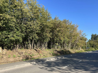 Фотография Продажа помещения свободного назначения, 536 м² , микрорайон Совхоз Медведево 48/3  №3